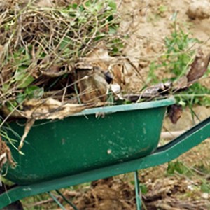 green wheelbarrow pushed