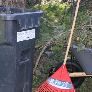 yard waste container and wheelbarrow rake