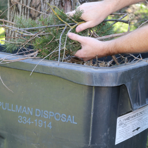 yard waste can and hands